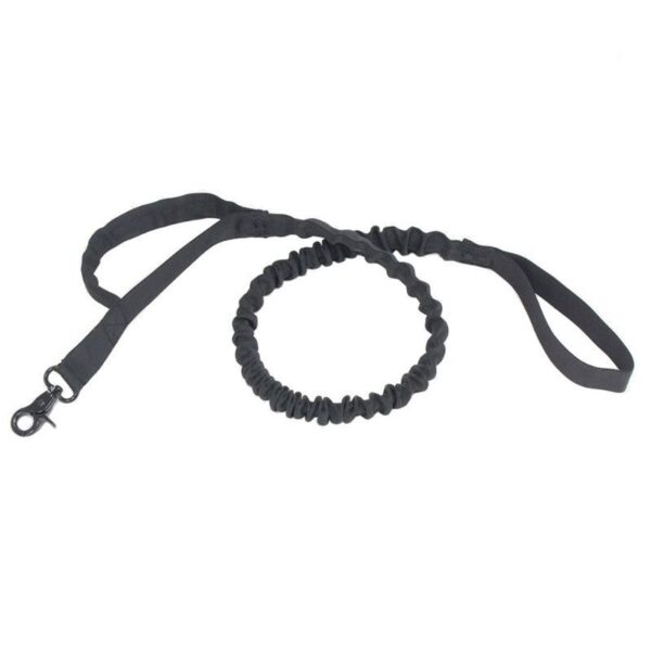 Elastic Buffer Of Outdoor Pet Traction Rope - Image 4