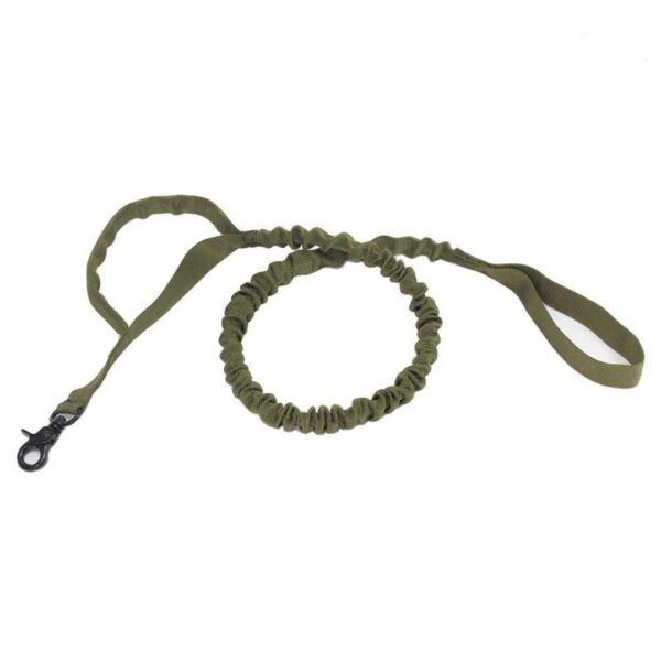 Elastic Buffer Of Outdoor Pet Traction Rope - Image 8